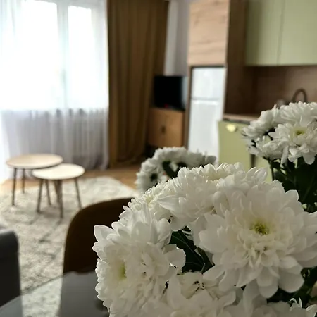 Piekne Mieszkanie W Samym Centrum Gdyni 公寓 *